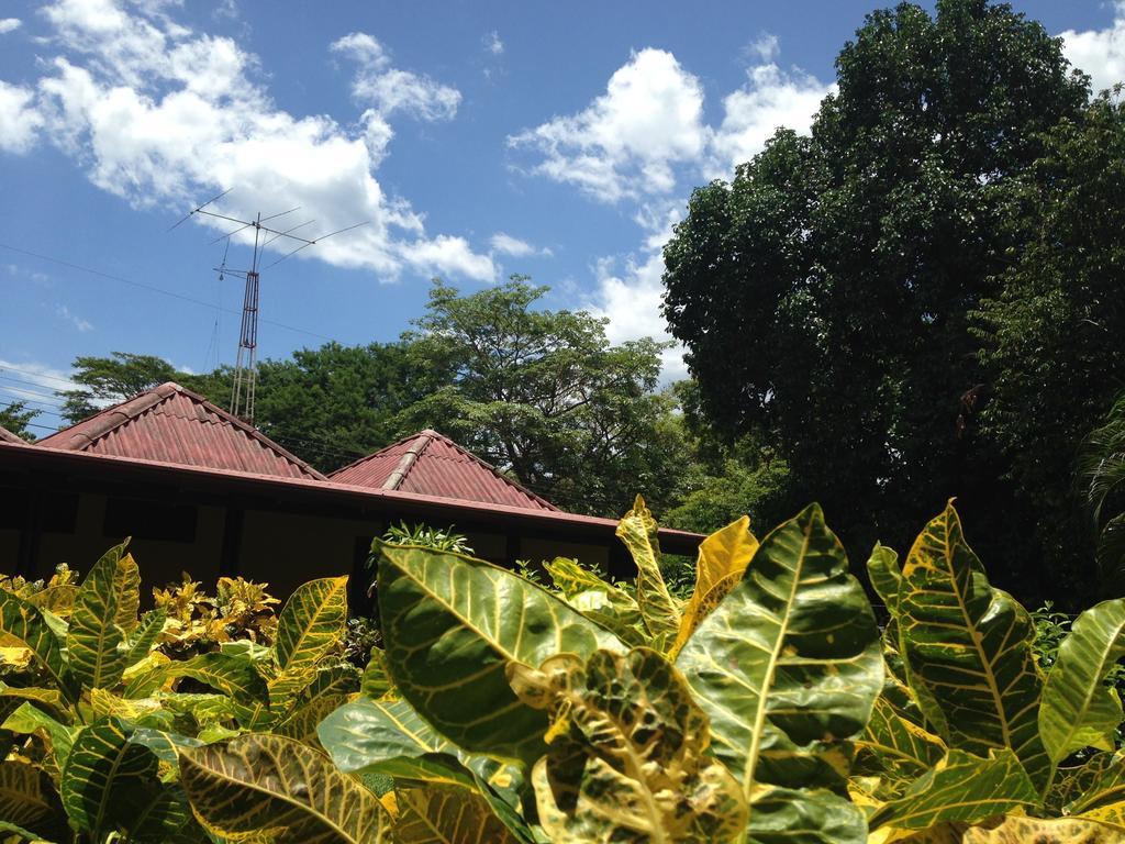 Flor De Itabo Hotel Coco Exterior photo